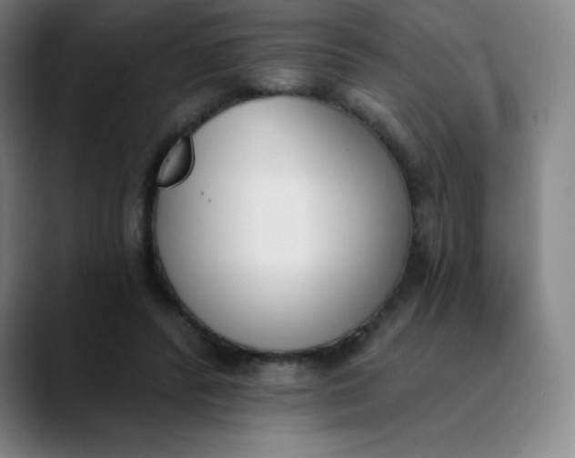 X0000089850400200707121722