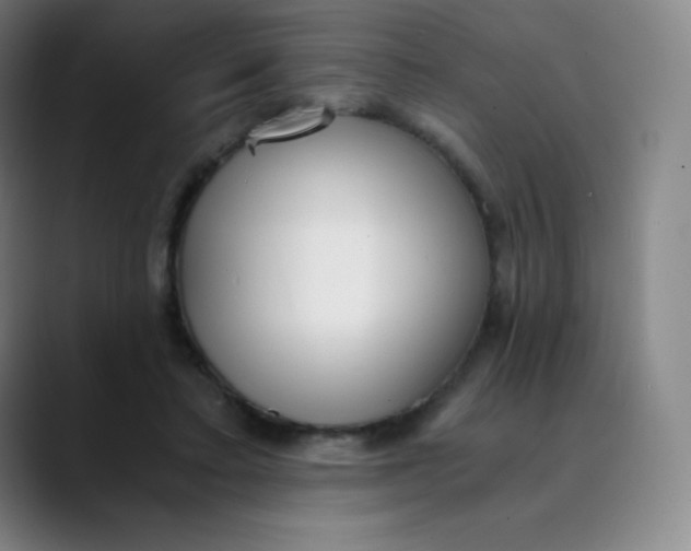 X0000089850403200707121722