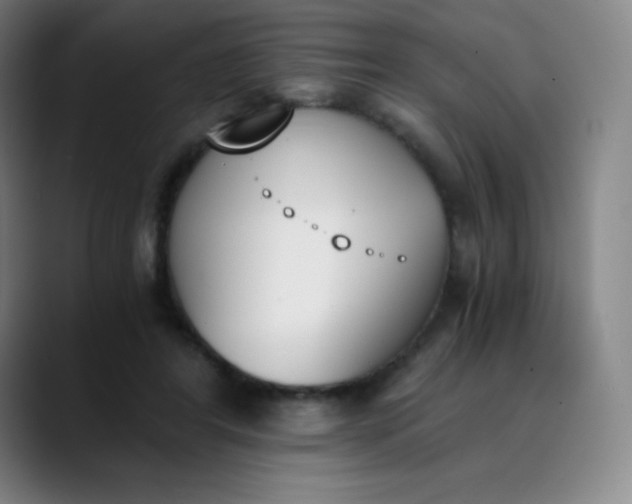 X0000089850404200707121722