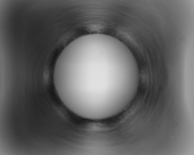 X0000089850408200707121721