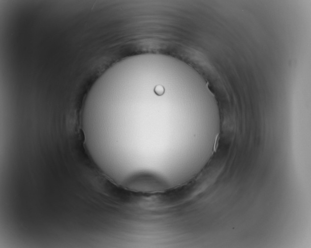 X0000089850411200707121721