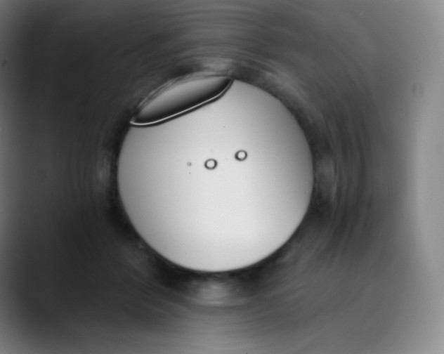 X0000089850412200707121721