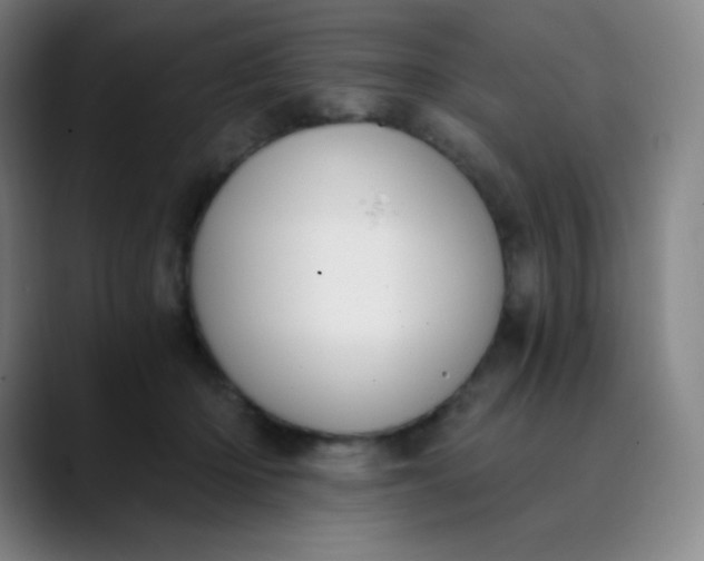 X0000089850414200707121721