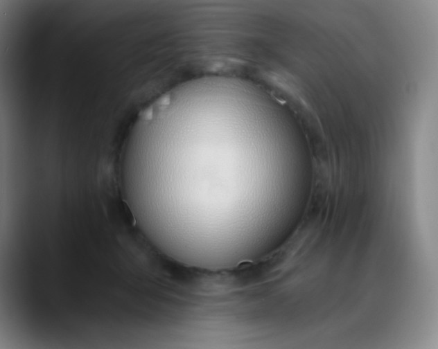 X0000089850415200707121721