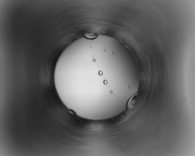 X0000089850416200707121721