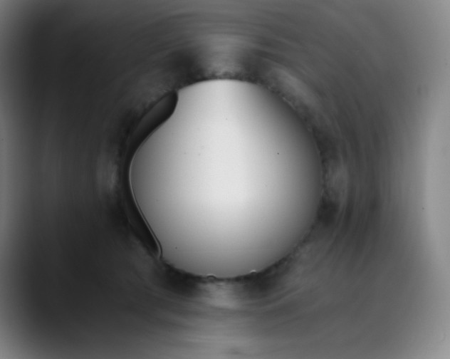 X0000089850417200707121721