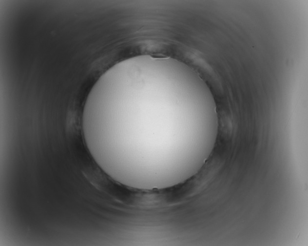 X0000089850419200707121721