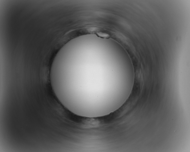 X0000089850421200707121721