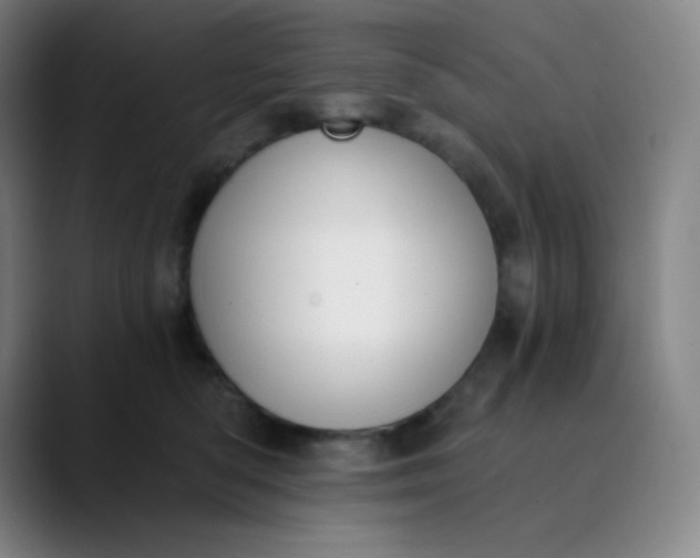 X0000089850422200707121721