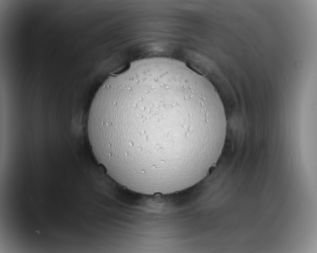 X0000089850423200707121721