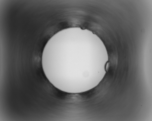 X0000089850427200707121721