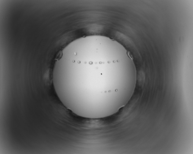 X0000089850428200707121721