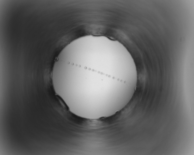 X0000089850429200707121721