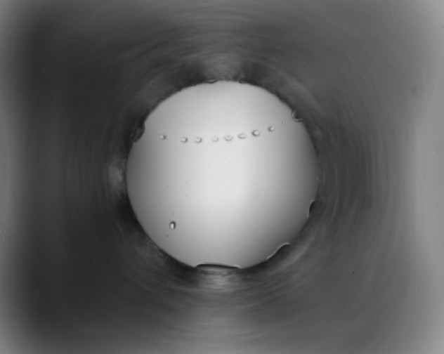 X0000089850432200707121721