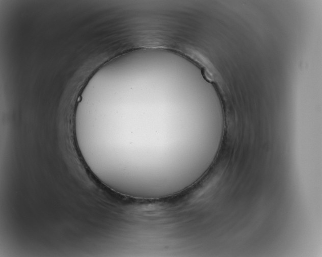 X0000089850433200707121720