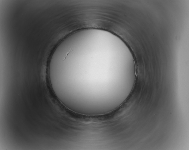 X0000089850434200707121720