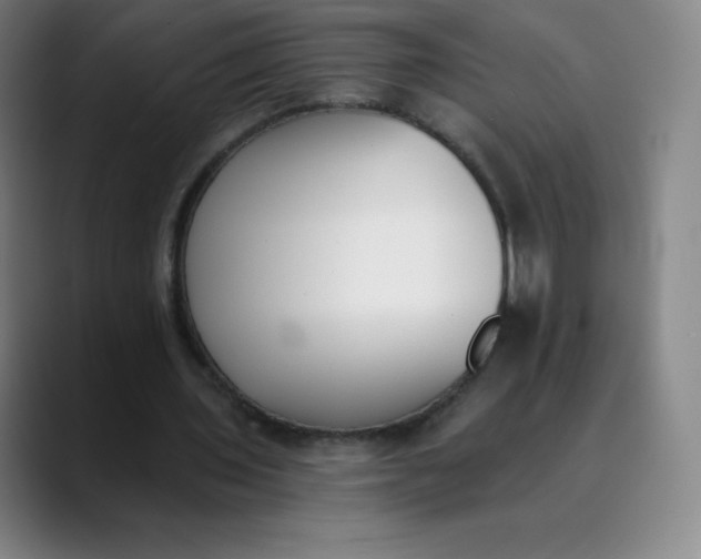 X0000089850435200707121720