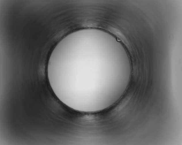 X0000089850441200707121721