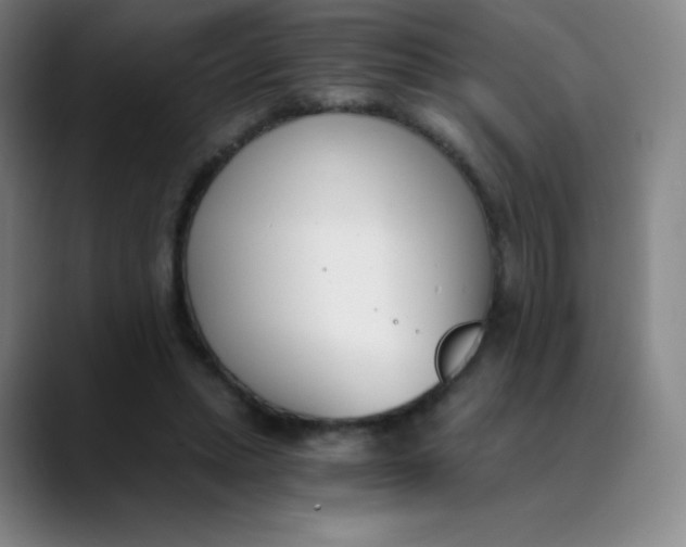 X0000089850447200707121721