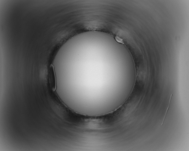 X0000089850448200707121721