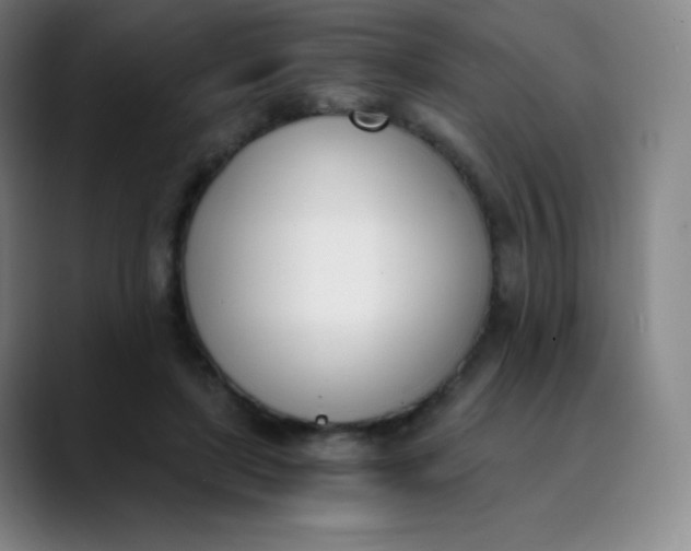 X0000089850451200707121721