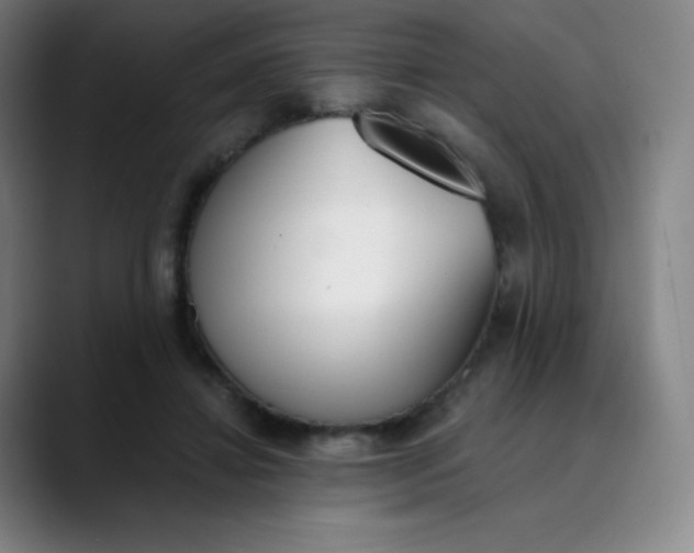 X0000089850452200707121721