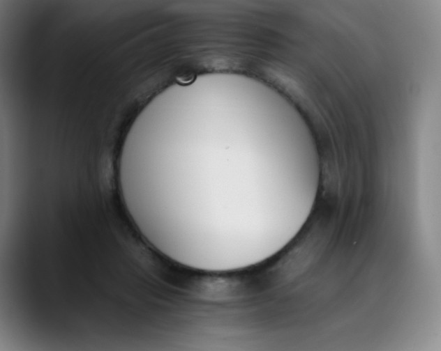 X0000089850453200707121721