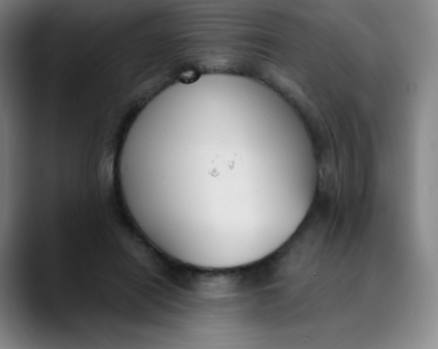 X0000089850454200707121721