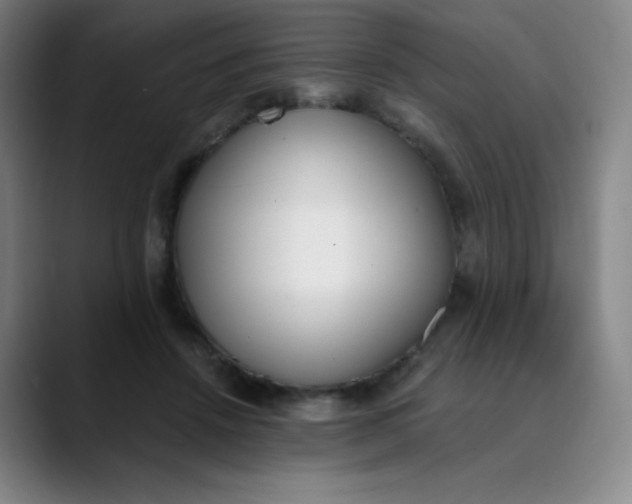 X0000089850456200707121721