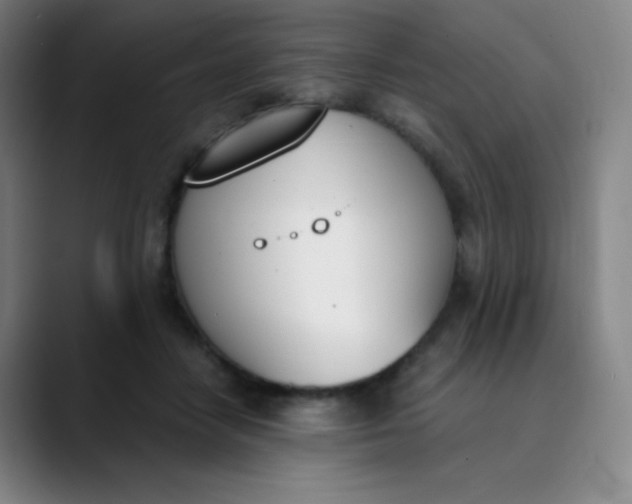 X0000089850458200707121721