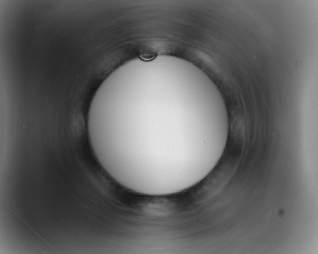 X0000089850459200707121721