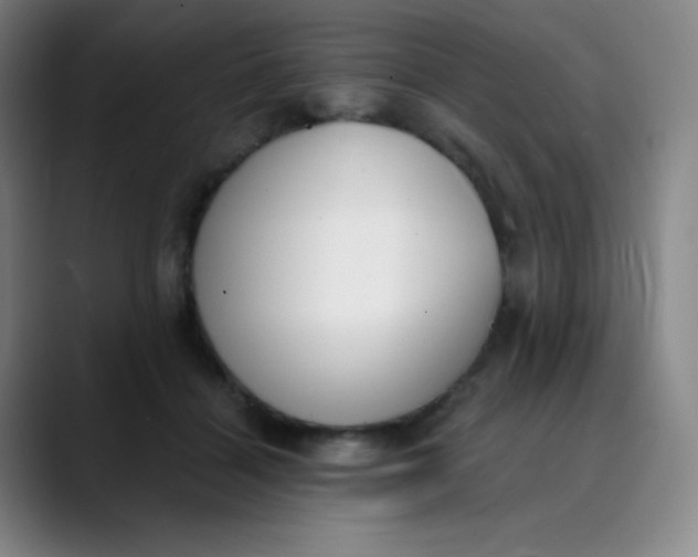 X0000089850460200707121721