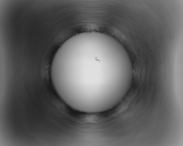 X0000089850462200707121721