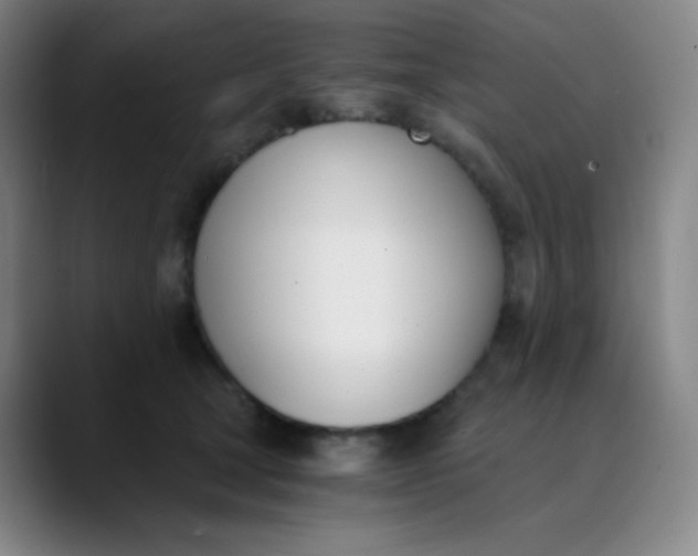 X0000089850465200707121721