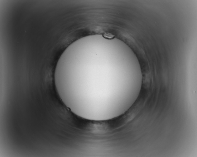 X0000089850466200707121721