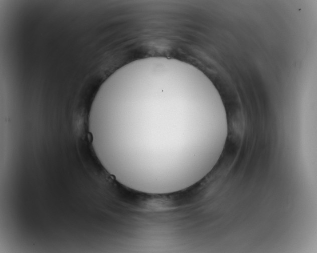 X0000089850468200707121721