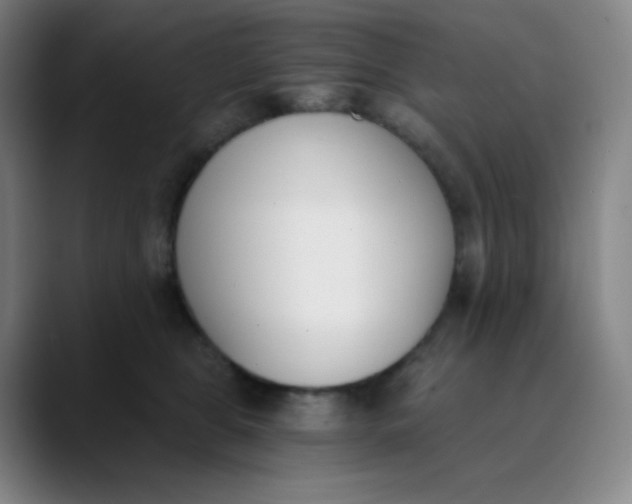 X0000089850469200707121721