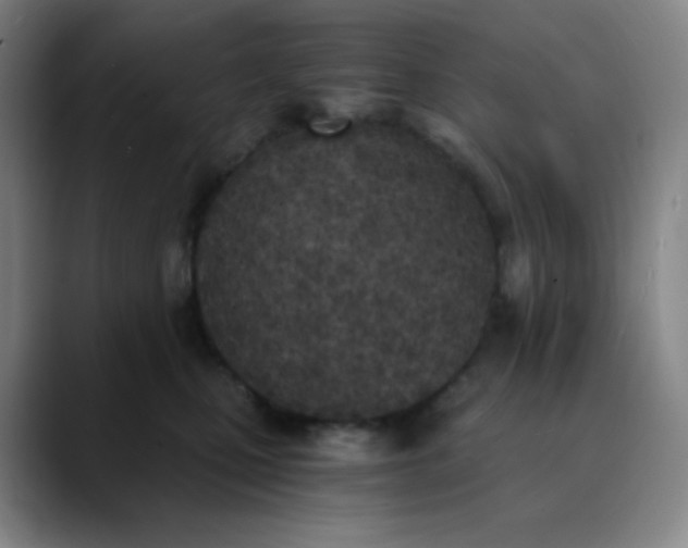 X0000089850471200707121721