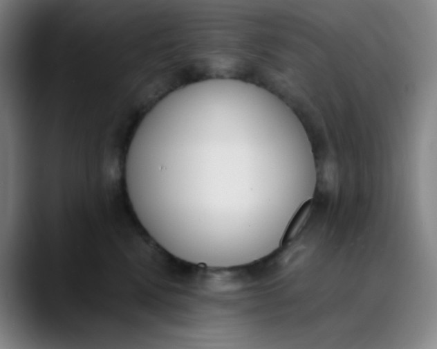 X0000089850472200707121721