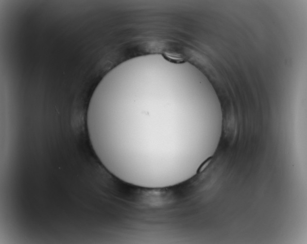 X0000089850473200707121721