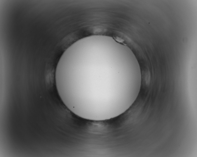 X0000089850475200707121721