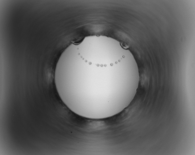 X0000089850476200707121721