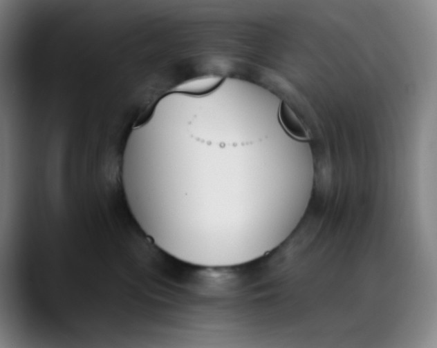 X0000089850477200707121721