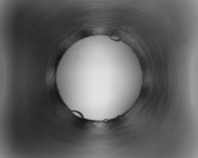 X0000089850478200707121721