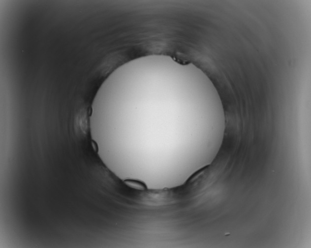 X0000089850479200707121721