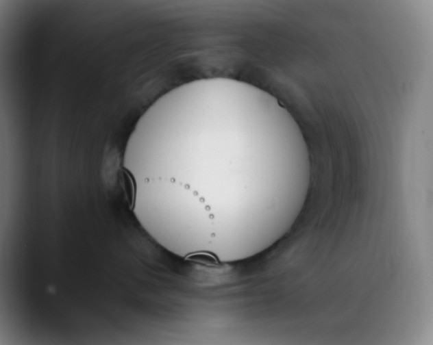 X0000089850480200707121721