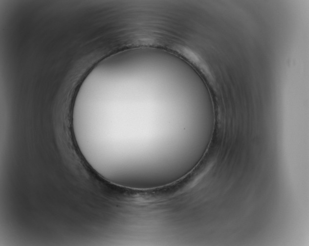 X0000089850481200707121720