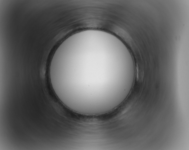 X0000089850483200707121720