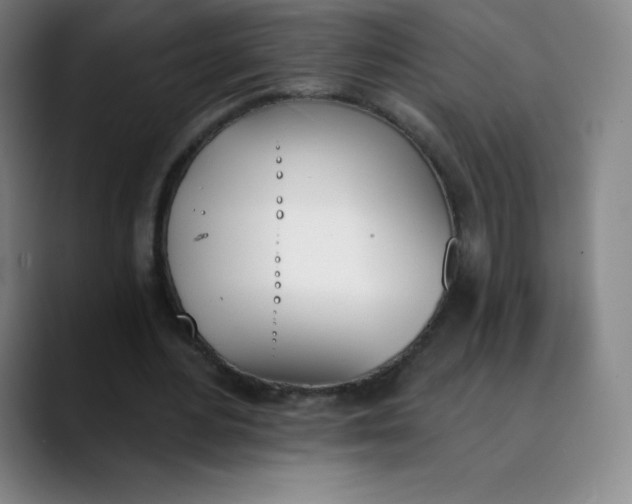 X0000089850484200707121720