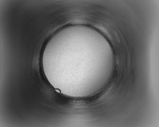 X0000089850487200707121720